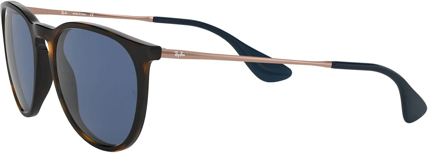 Ray-Ban RB4171 Erika Round Sunglasses