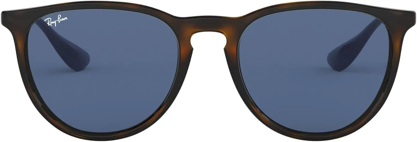 Ray-Ban RB4171 Erika Round Sunglasses