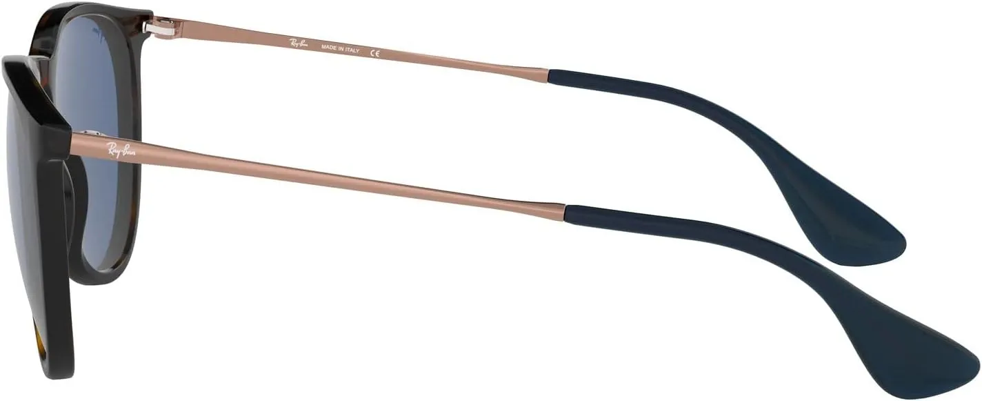 Ray-Ban RB4171 Erika Round Sunglasses