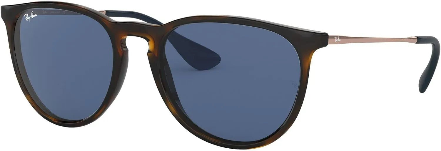 Ray-Ban RB4171 Erika Round Sunglasses