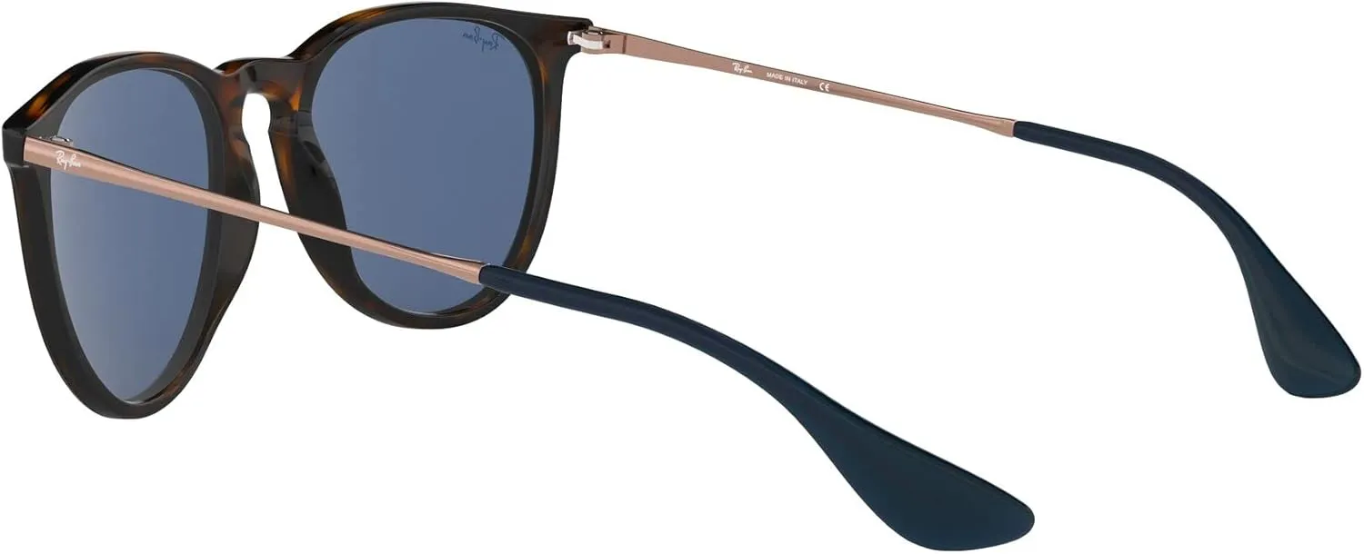 Ray-Ban RB4171 Erika Round Sunglasses
