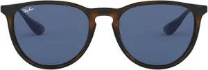 Ray-Ban RB4171 Erika Round Sunglasses